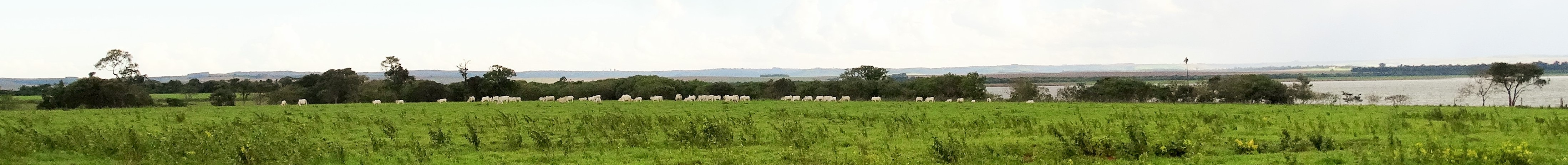 panoramica1